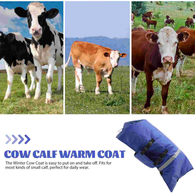 Ropa de vaca gruesa, abrigo cálido de cordero para exteriores, chaleco de pantorrilla, chaqueta, manta de pantorrilla profesional, ropa de invierno