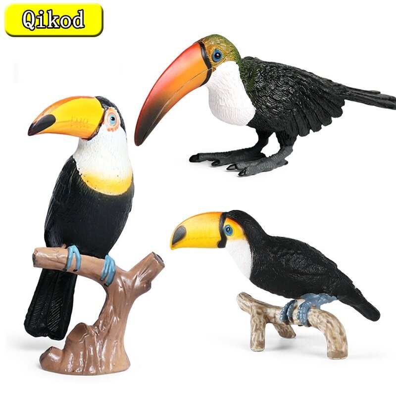 Uccelli selvatici animali simulazione statica tucano giocattolo modello animale Action Figure apprendimento scienza educazione uccelli regali/Set