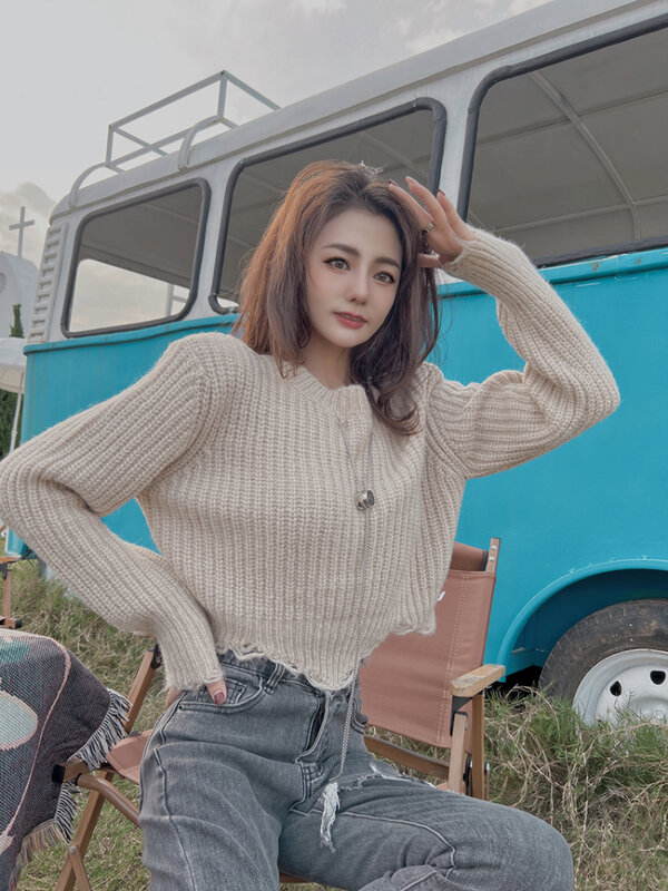 2022 새로운 한국 버전 느슨한 긴 소매 니트 스웨터, 여성의 작은 액세서리 패션 다목적 라운드 넥 탑, 올 시즌