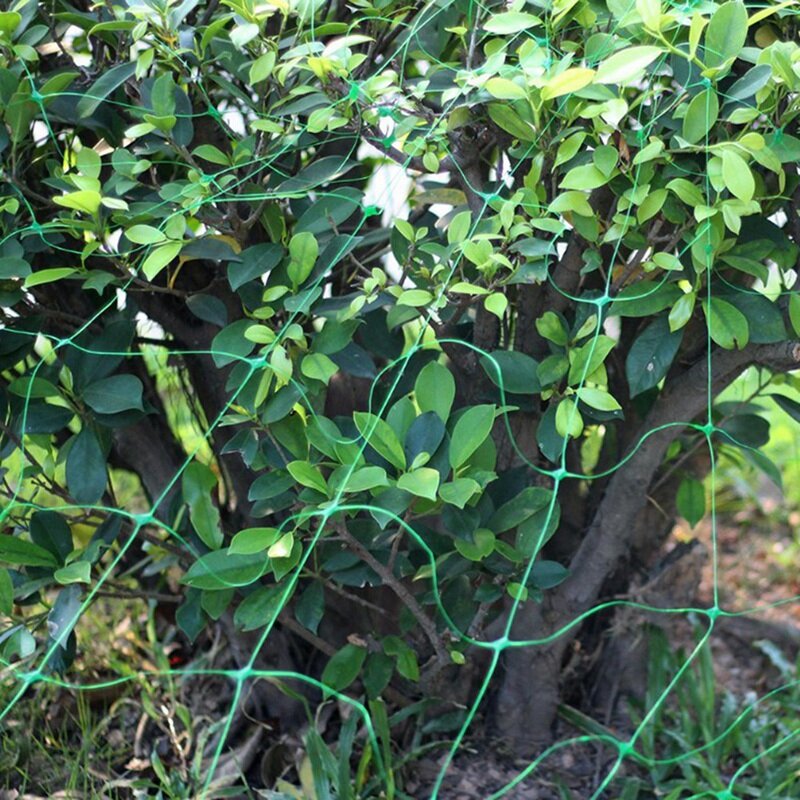 Plantas de escalada para a rede plástica verde da treliça da categoria comercial rede da treliça rede de reprodução