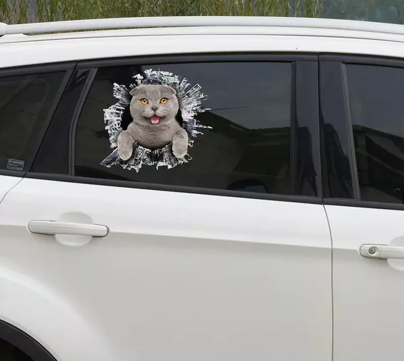 Scottish fold window sticker, car sticker, scottish fold car decal, funny decal