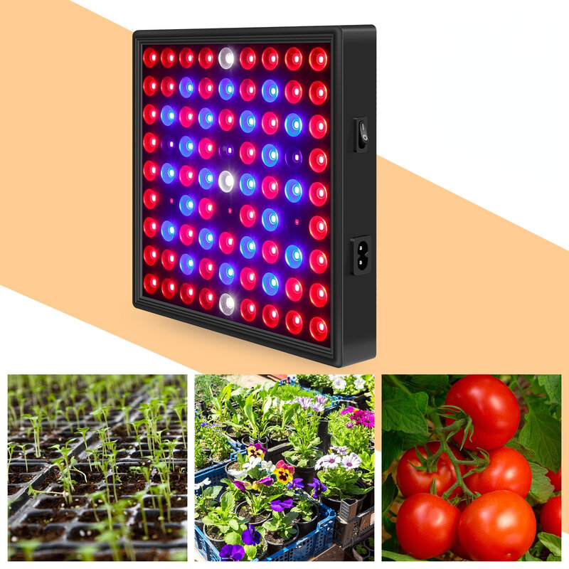 Luz LED cuadrada para relleno de plantas, invernadero de espectro completo, iluminación de plantas de interior, luz de crecimiento, 50W/80W, 81/169
