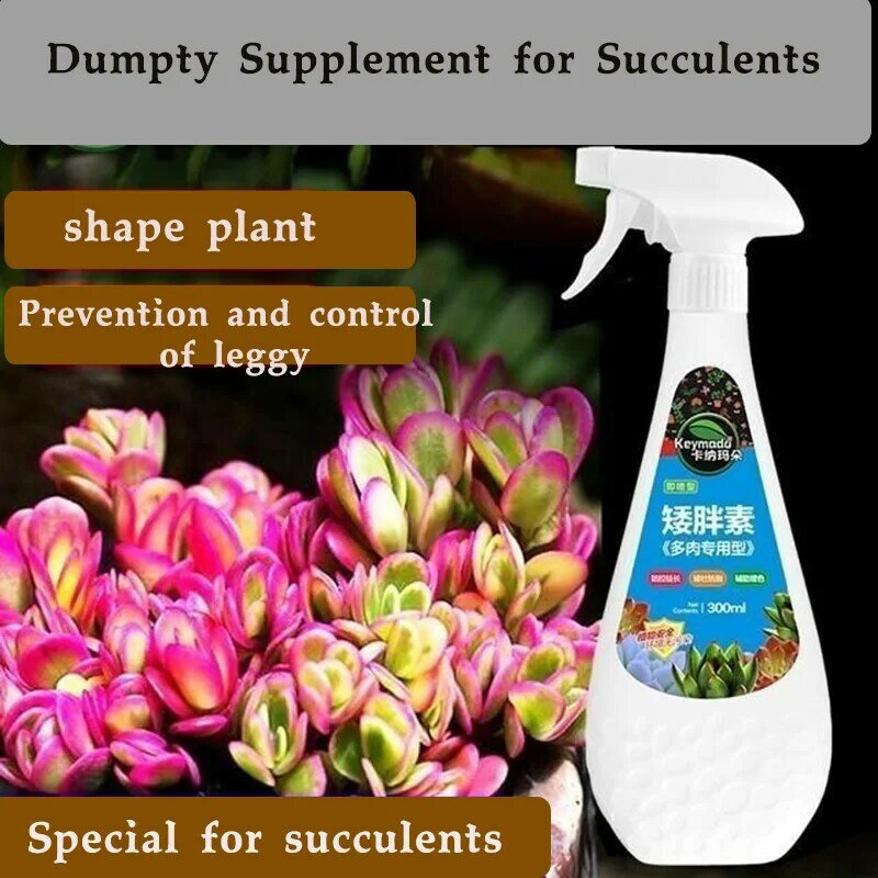 Planta suculenta eugenina promove brotamento, gordura anã, impede grânulos orgânicos leggy, suculentos e suculentos 300ml