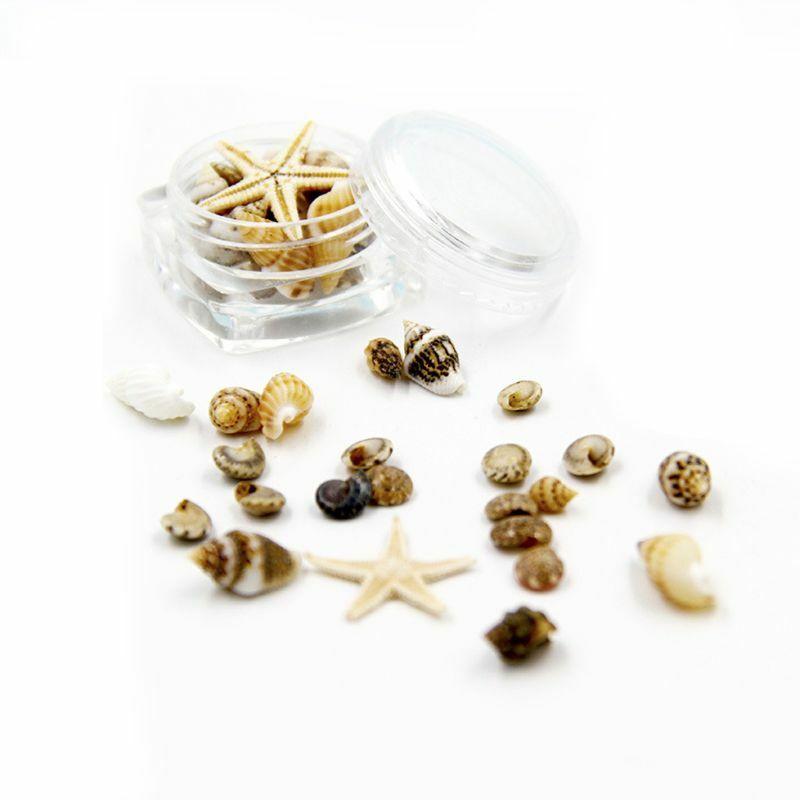 Mini Mini Sea Shells ผสมชายหาด Seashells ปลาดาวธรรมชาติสำหรับ Home Beach ธีมปาร์ตี้ของตกแต่งงานแต่งงานแจกัน