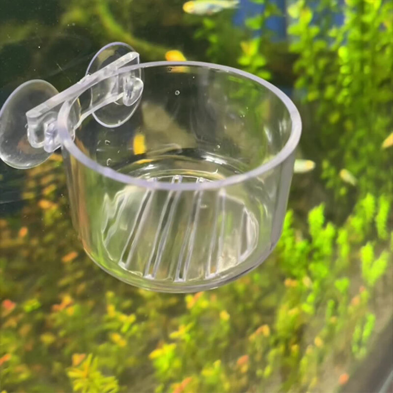 Mini maceta colgante de cristal acrílico para acuario, Recipiente cilíndrico de plantación de agua para pecera, accesorio de alimentación para insectos pequeños