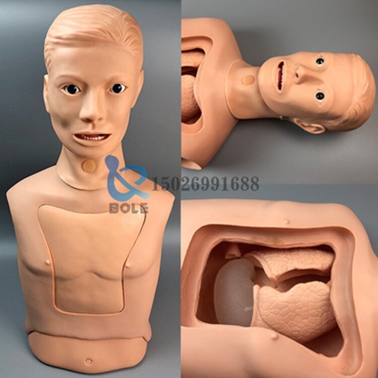 Nasogastric tube and trachea nursing model Nasogastric feeding tube Cutting suctioning training Gastric Tracheal gastric lavage