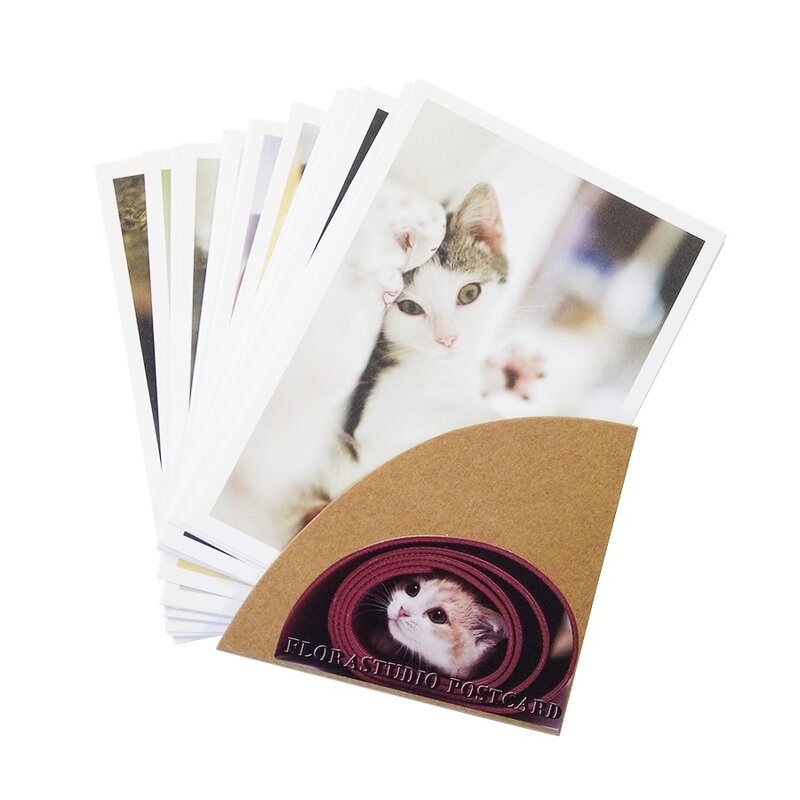 Conjunto de cartões postais de gatos vintage, Série Cat, Cartão do convite do partido dos gatos, Cartão de Ano Novo, 28pcs por lote