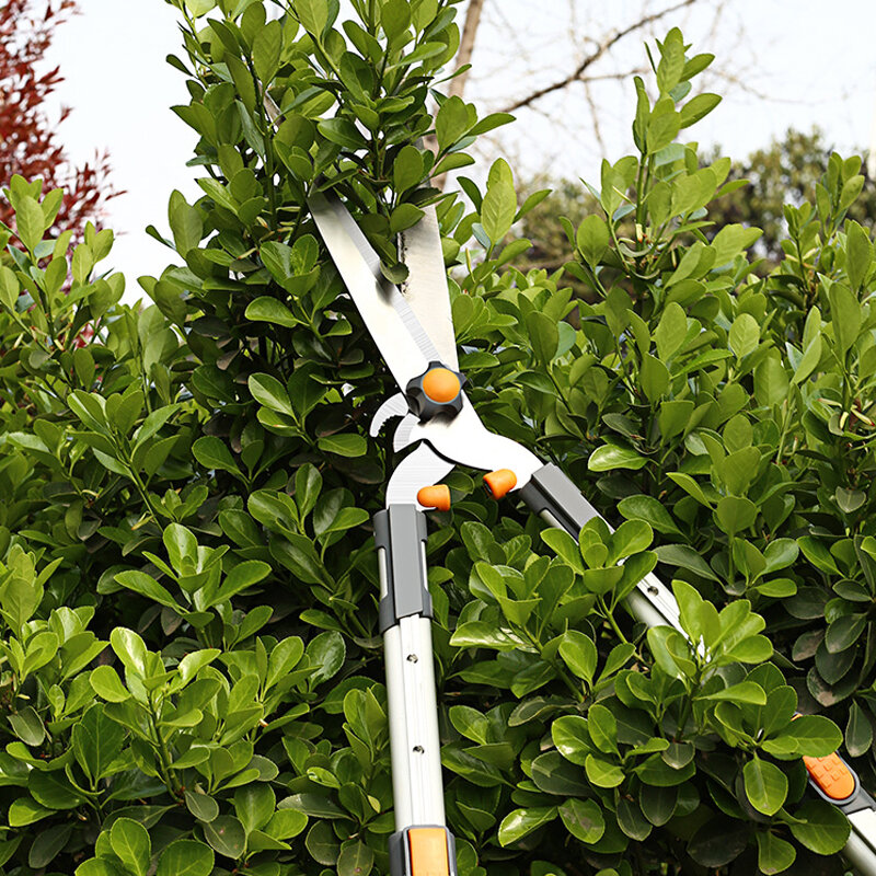DTBD Garten Baum Beschneiden Schere Amboss Bypass Rasiermesser Rand Lopper Teleskop Lange Erreichen Aluminium Griff Obst Messer Picker Pruner