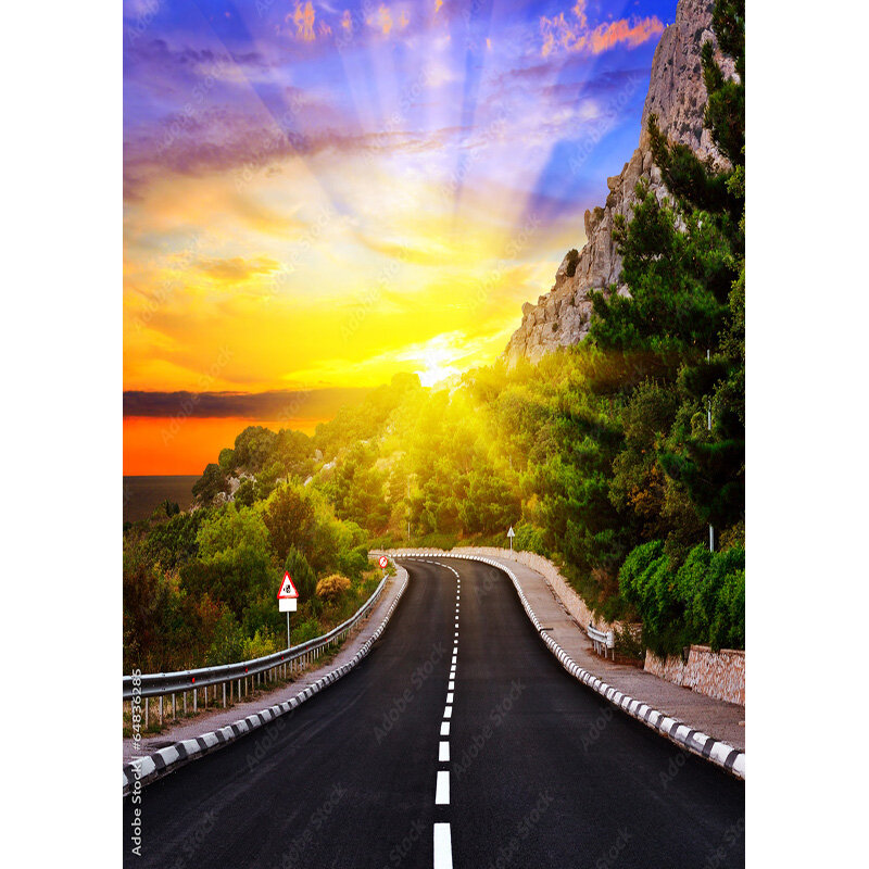 Highway Nature Scenery Photography Backdrops Travel Landscape Photo Backgrounds Studio Props  211228 GLL-07