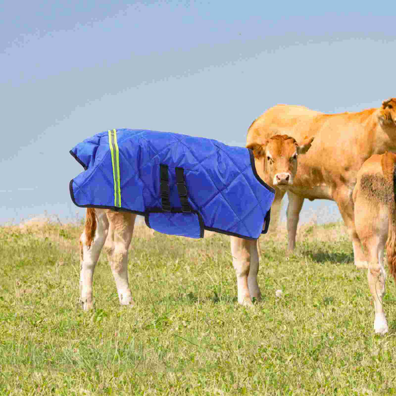Gilet di vitello cappotto caldo di capra coperta invernale impermeabile per la protezione della pancia dell'agnello