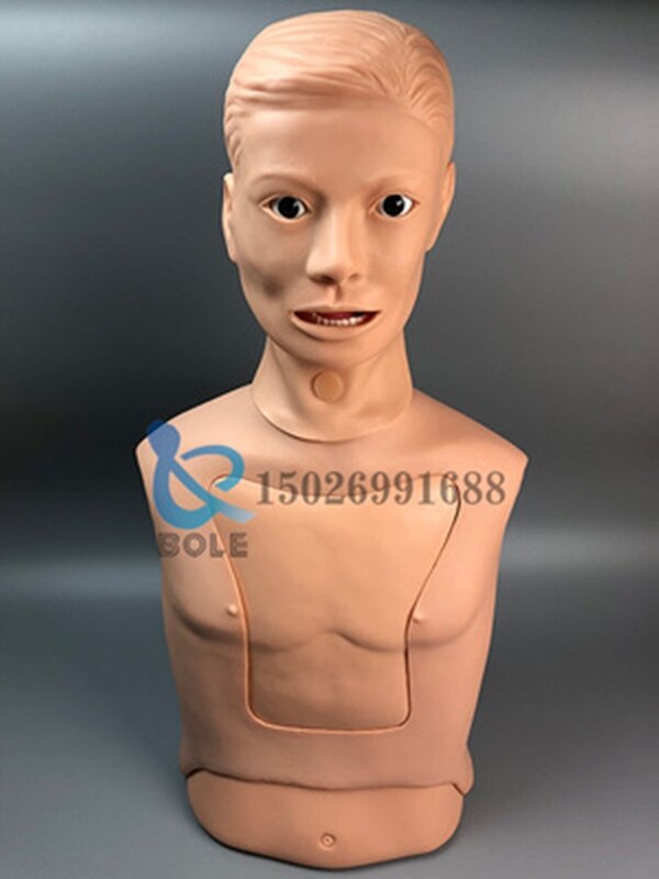 Nasogastric tube and trachea nursing model Nasogastric feeding tube Cutting suctioning training Gastric Tracheal gastric lavage