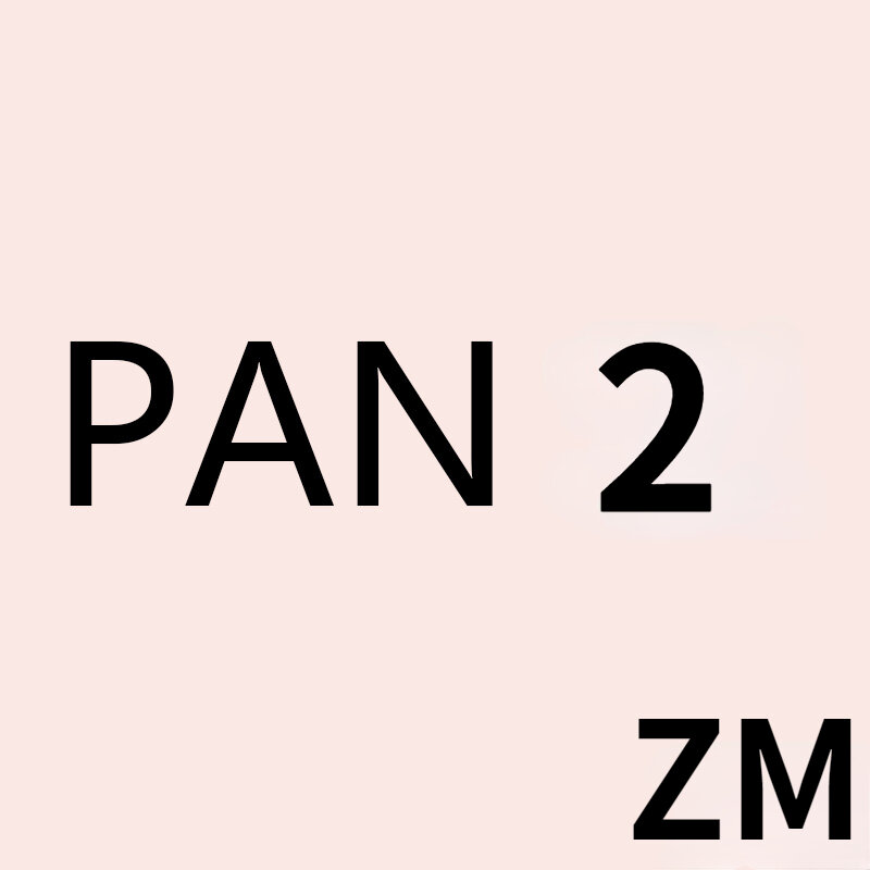 PAN ZM 1