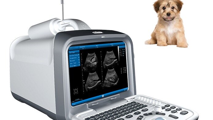 Novo 2021 doppler-ultrasonido veterinário para animais, portátil, de la mejor calidad, cor 4d