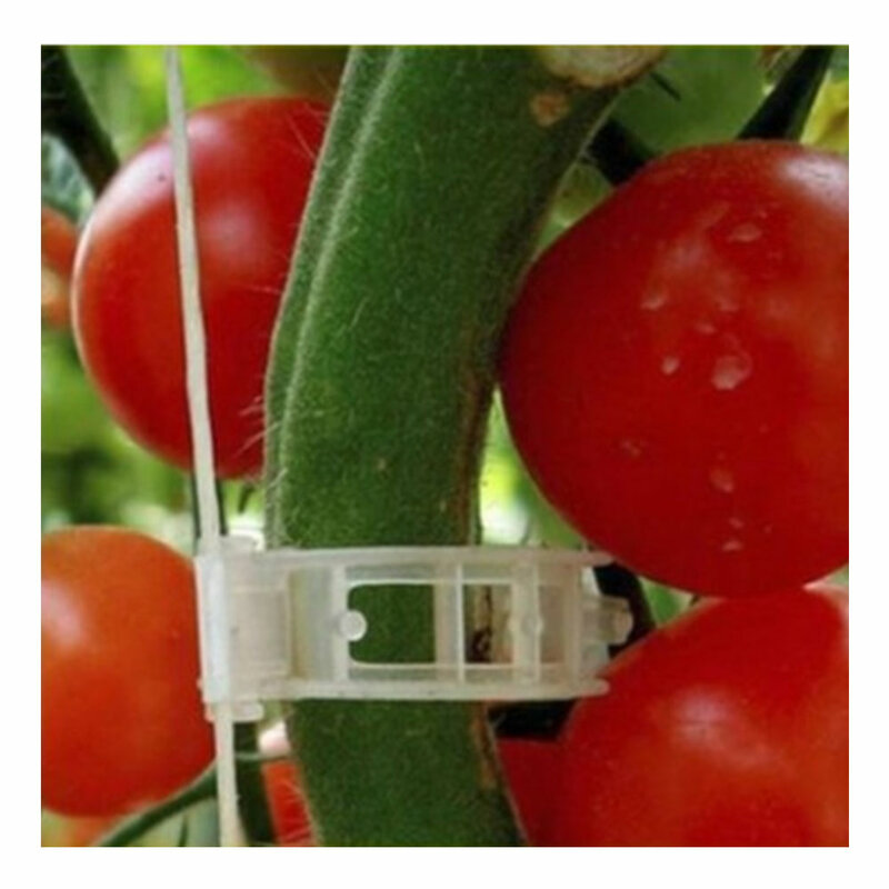 50/100pcs 플라스틱 식물 클립 지원 재사용 방지 접목 고정 도구 원예 용품 야채 토마토