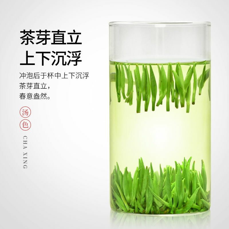 Tè verde Quetongue Xinmingqian tenero gemma speciale tè primaverile gemma verde sfuso vaso d'oro confezione regalo 125g