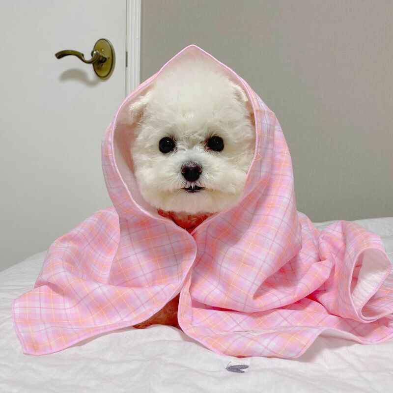 New Pet Pad Summer Pink Green Plaid Cotton Double-layer Cotton Yarn Pet Blanket Dog Pet Air Conditioner Is Picnic Mat