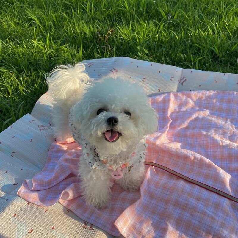 New Pet Pad Summer Pink Green Plaid Cotton Double-layer Cotton Yarn Pet Blanket Dog Pet Air Conditioner Is Picnic Mat