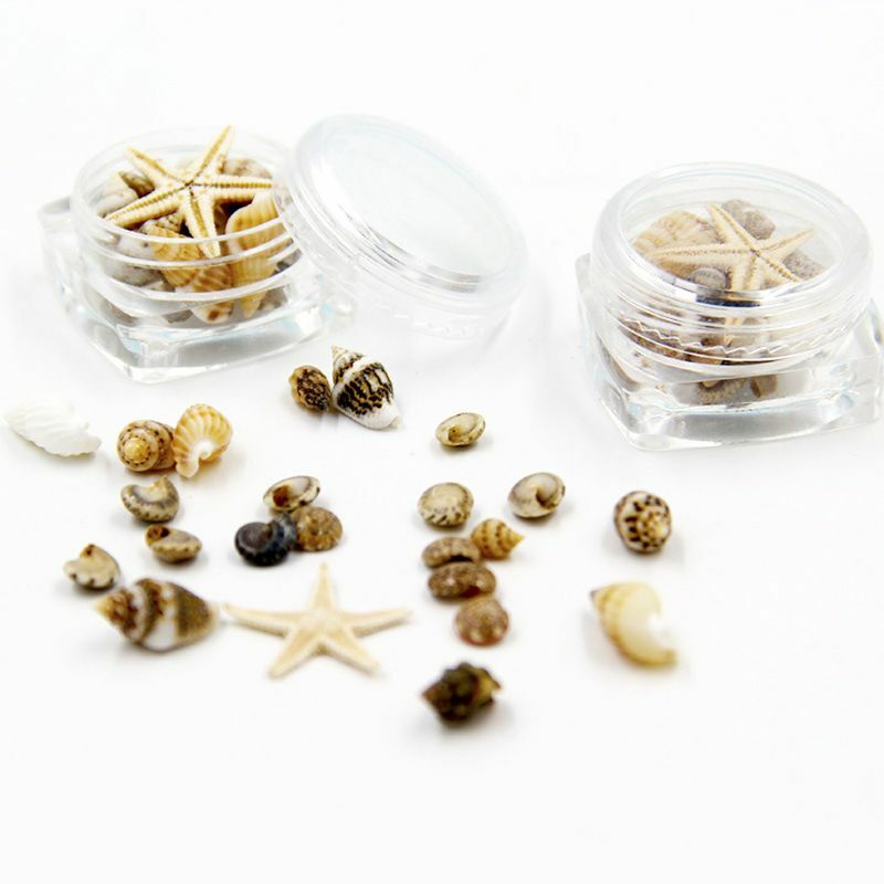 Mini Mini Sea Shells ผสมชายหาด Seashells ปลาดาวธรรมชาติสำหรับ Home Beach ธีมปาร์ตี้ของตกแต่งงานแต่งงานแจกัน