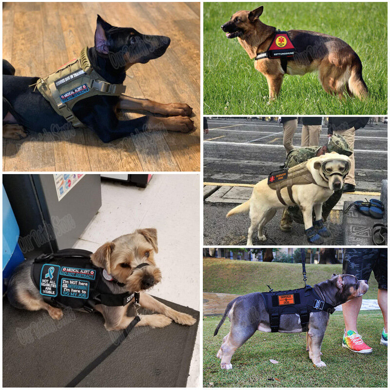 Parche bordado de servicio perro bestia Mode On Off, insignia de emblema de perro en entrenamiento, parche K9 para chaleco militar para mascotas, arneses