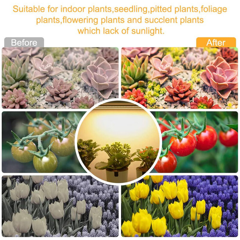 Ajustável Full Spectrum LED Grow Light, Plant Phyto Growth Lamp, Temporizador para Estufa, Flor Suculenta, 5 Modos, 3, 6, 12H