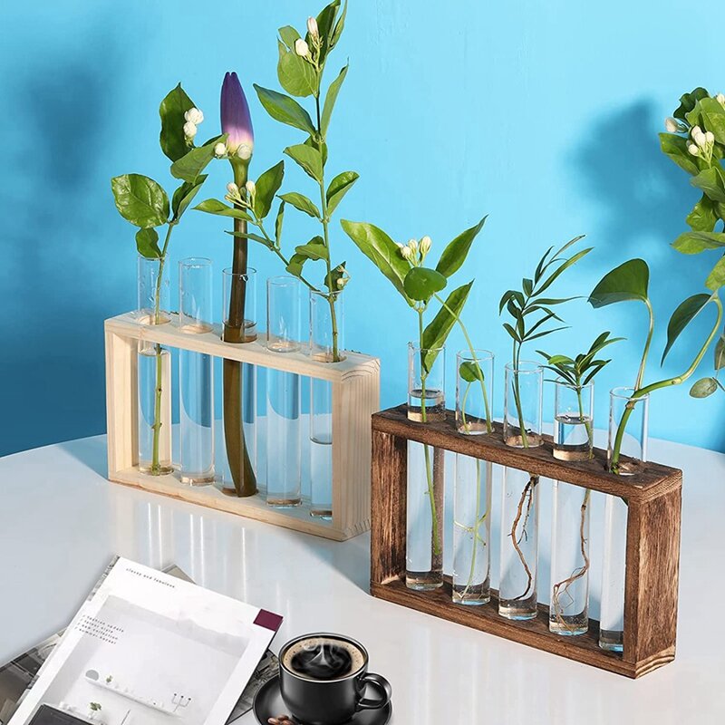 新しい植物の輸送ステーション、ハリハイドロポニック植物ホルダーの木製スタンド付き植物テラリウム家の装飾