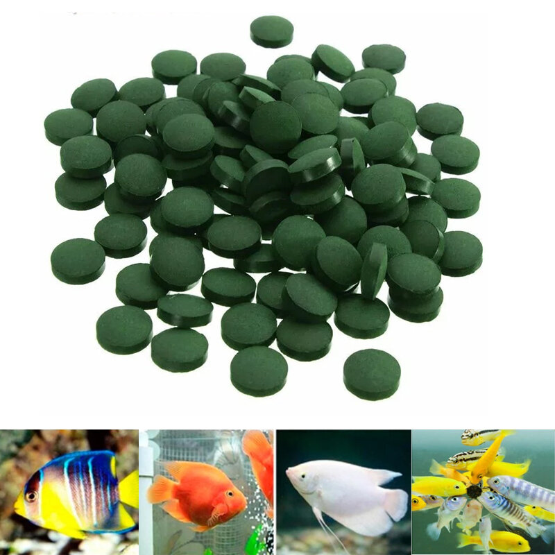 100x Spirulina Tabletten Verrijking Favoriete Huisdier Voedsel Voor Vis Crystal Red Garnalen