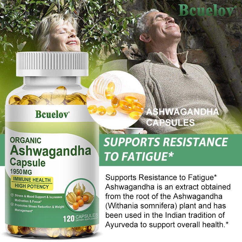 Natural Ashwagandha Capsules Help Fight Stress, Calm The Mind, and Support Relaxation, Vitality, and Overall Well-being