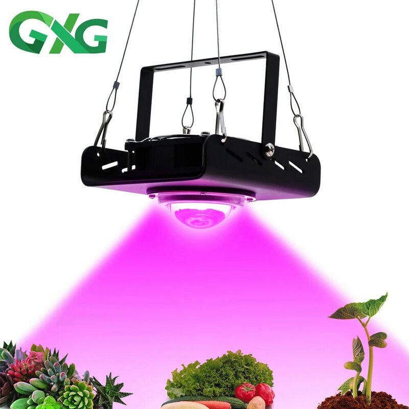 Luz LED COB de espectro completo para cultivo, fitoamplificador impermeable para plantas, bombillas LED para plántulas de flores, lámpara de tienda de invernadero, 220V, 50W