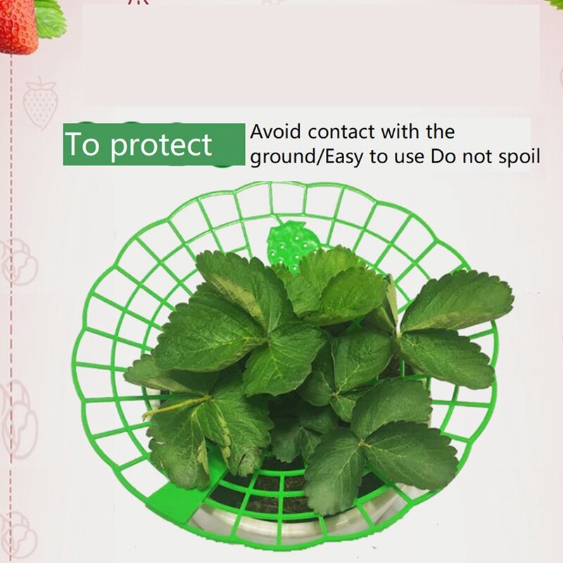 Support rond en plastique pour garder les fraises fraîches, pour la maison, Protection des fruits, fixation des plantes et des légumes sur le balcon