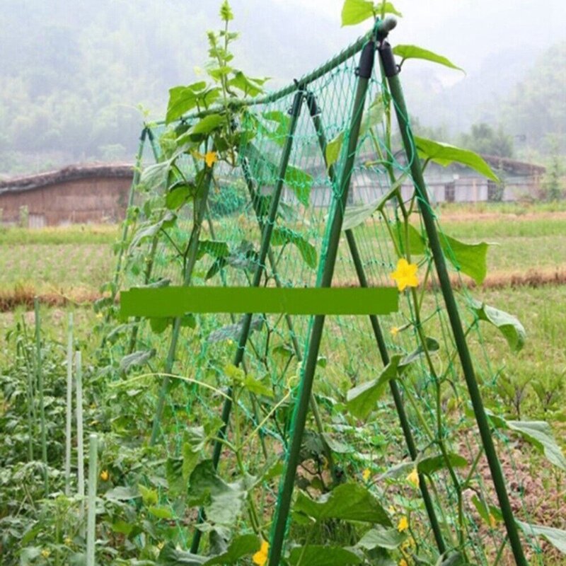 Plantas de escalada para a rede plástica verde da treliça da categoria comercial rede da treliça rede de reprodução