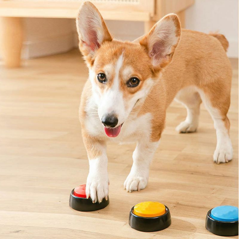 Caixa de som do animal de estimação gravável falando botão cão gravador voz falando brinquedo para animal estimação ferramenta treinamento comunicação caixa squeeze 2022 novo