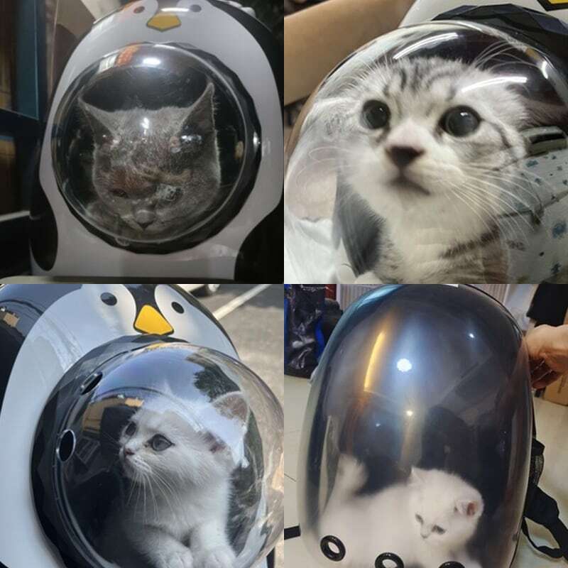 Mochila transpirable para gatos y mascotas, bolsa de transporte para viajes al aire libre, cápsula espacial, jaula portátil, paquete de viaje con accesorios para gatos