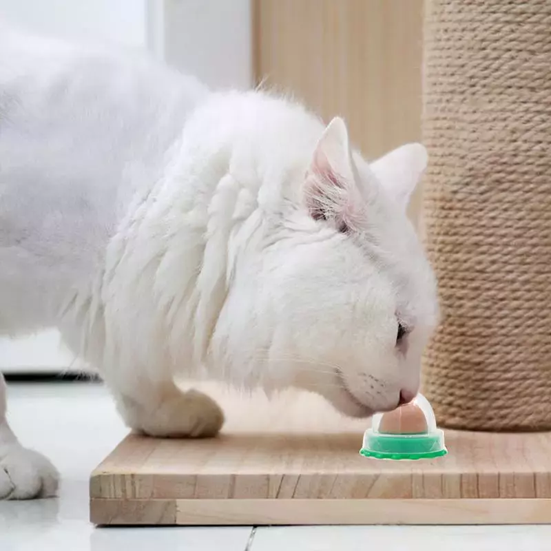 NEW2022 Nutrisi Kucing Catnip Bola Penutup Debu Bulat Aman Catnip Makanan Ringan Permen Menjilat Vitamin Puding Catnip Lollipop untuk Kucing Kucing Acce