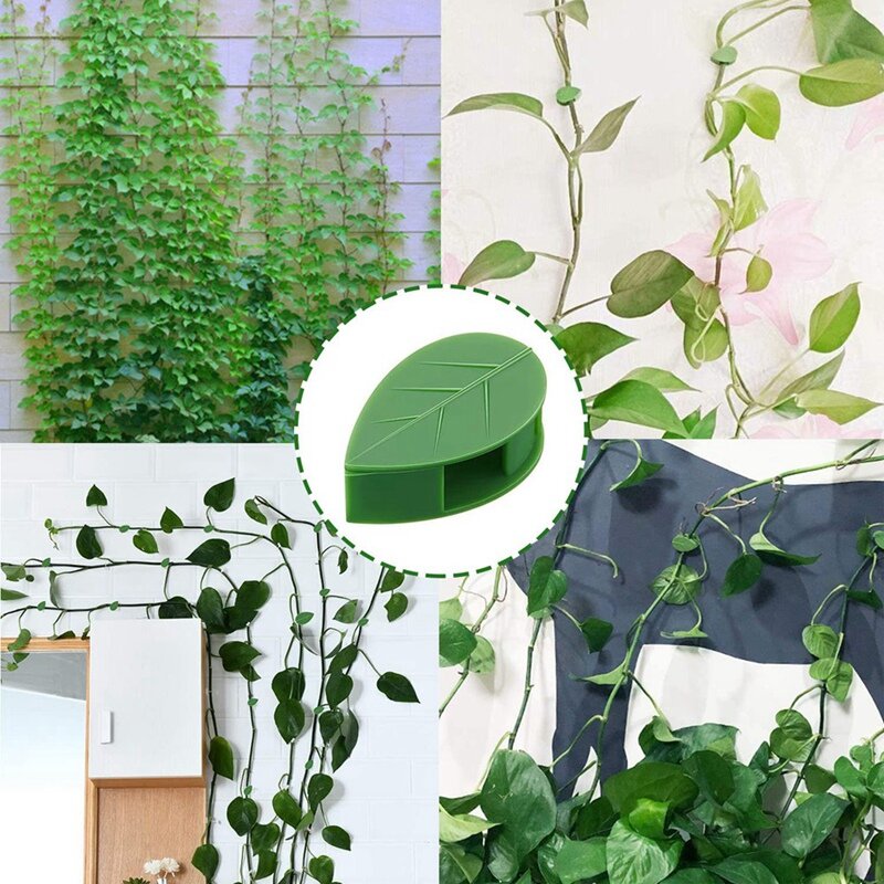 50Pcs 식물 등반 벽 고정 클립, 보이지 않는 벽 고정 클립, 식물 벽 클립, 포도 나무 브래킷에 사용