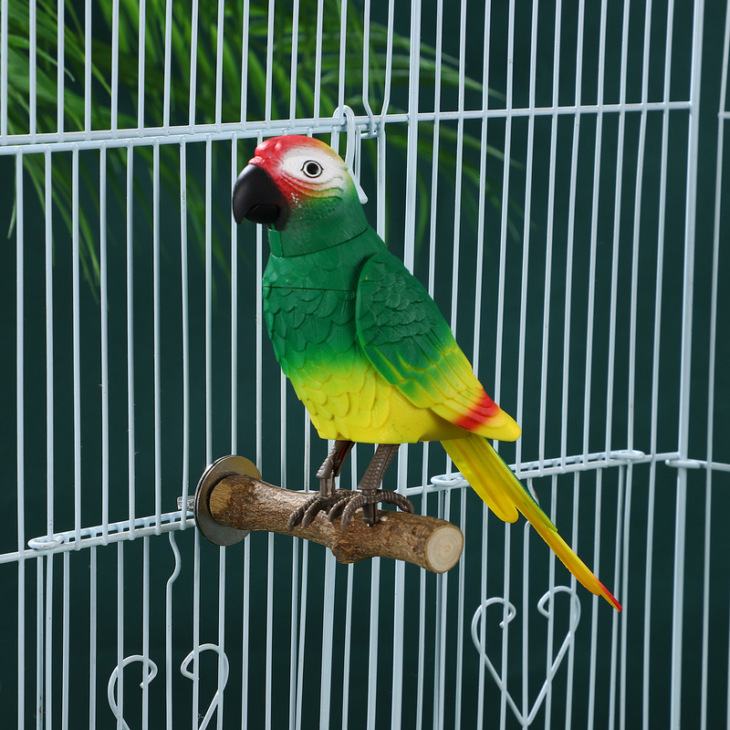 Accessori per gabbia per affilare artigli per uccelli pappagallo persico piccoli uccelli posatoi staffe pappagalli parrocchetti