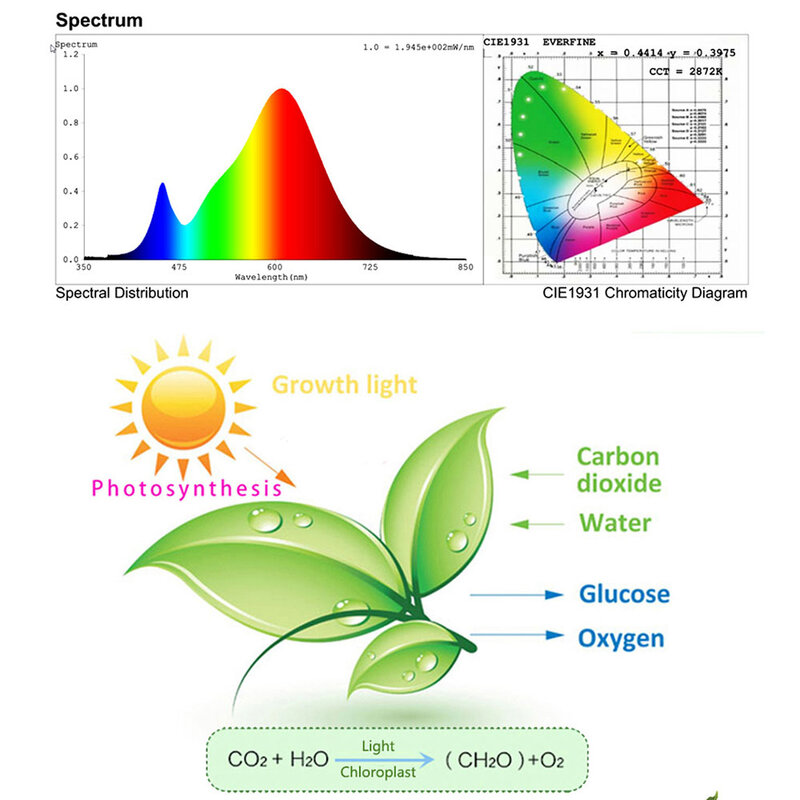 50 واط Led الطيف الكامل ضوء النبات تنمو مصباح الدفيئة داخلي زراعة نمو النبات أضواء Phytolamp النبات الطيف الكامل مصباح