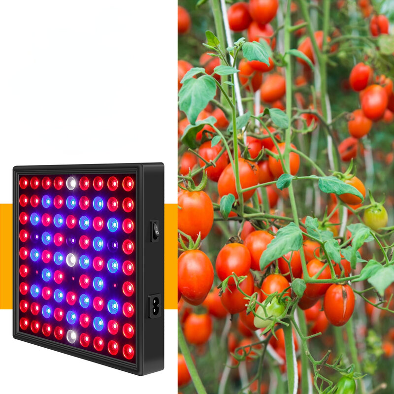 LED作物ライト,81/169度の植物ライト,温室ライト,50w/80w,屋内植物照明
