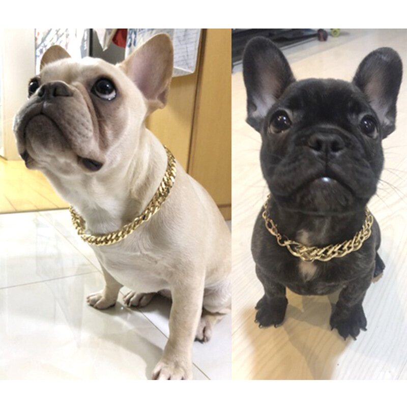 Pet Halskette Kampf Halskette Pet Mode Halskette Hund Bully Gold Kette Kleine und mittlere Hund Kragen Hund Schmuck halskette