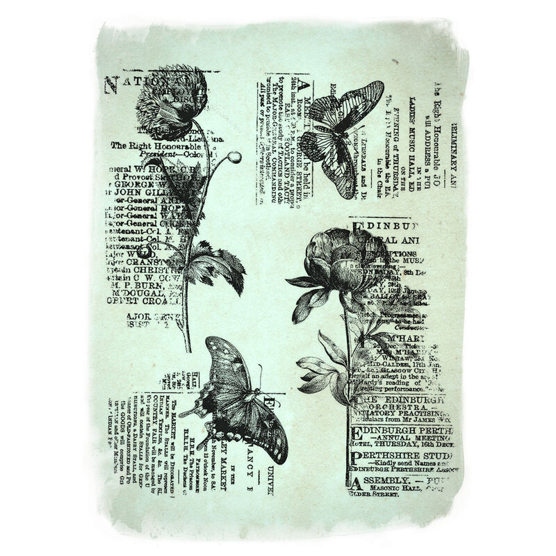 Vintage Insect Plant Text Clear Stamp Seal Scrapbook Photo Album Decorative Card Making Clear Stamps 11*16cm