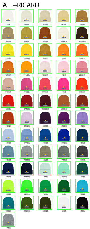 61 Colors RICARD Beanies Knitted hats Winter Autumn thick caps Men Women Unisex YOUTH Female Beanies Caps Warmer Bonnet Casual