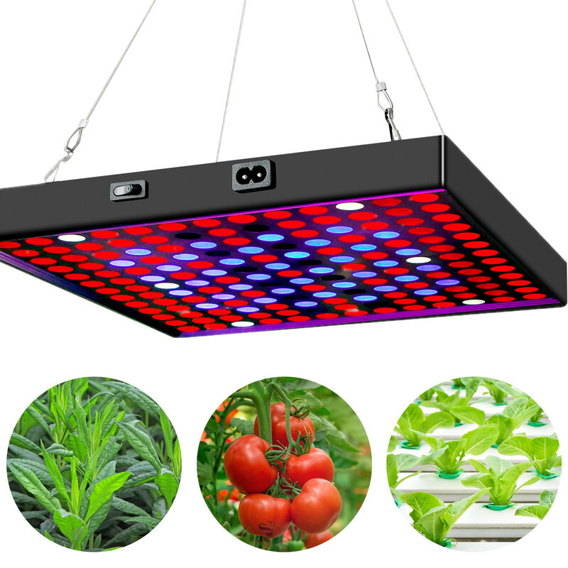 LED สแควร์พืชเติมแสงเรือนกระจก50W/80W Full Spectrum 81/169ในร่มแสง Growth Light