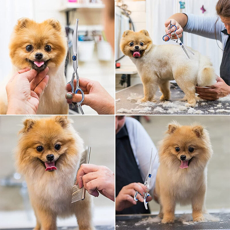 Safty-tijeras de peluquería para mascotas, juego portátil de cabeza redonda profesional de acero inoxidable para pelo de perro