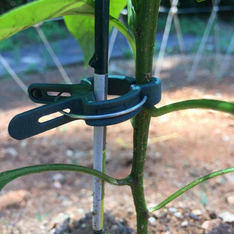 Настенный фиксатор для альпинизма растений, крючок-пряжка для лозы в листьях, фиксатор для растений, зажим для стента из ротанга, самоклеящийся фиксатор Invis L5C0