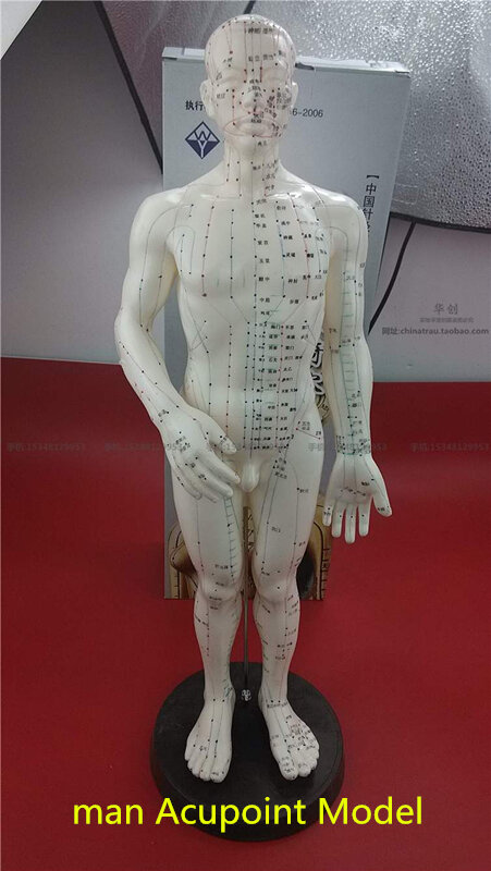 48 سنتيمتر الصينية الإنسان الوخز بالإبر ميريديان نقاط نموذج الذكور أو الإناث نموذج acupoint مع دليل المستخدم رجل مومين Acupoint نموذج