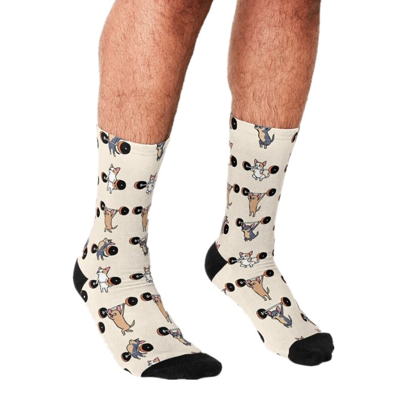 Engraçado meias chihuahua cão raça meias de café harajuku homem feliz hip hop novidade bonito meninos tripulação casual meias loucas para homem