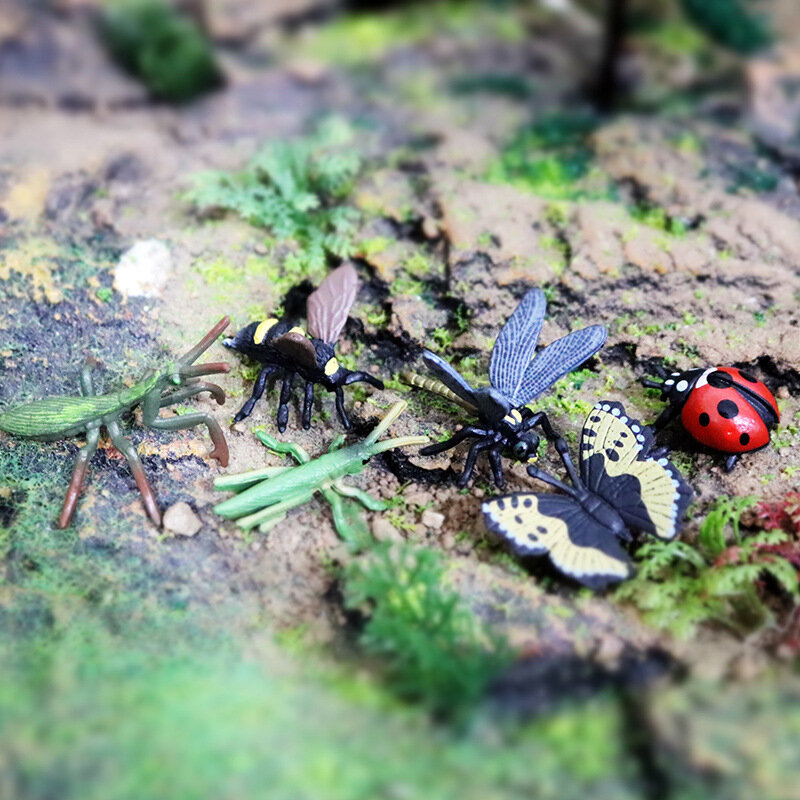 Simulación de insectos salvajes para niños, modelo de animales salvajes, mariposa, abeja, Araña, Mantis, escorpión, ciempiés, Libélula, Mini muñeca movible, 12 piezas
