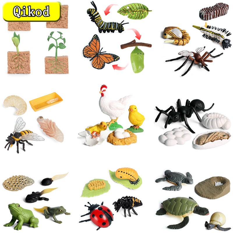 Children's Simulation Animal Model Bee Turtle Spider Frog Growth Cycle PVC Movable Doll Kids Collection Toys Gifts