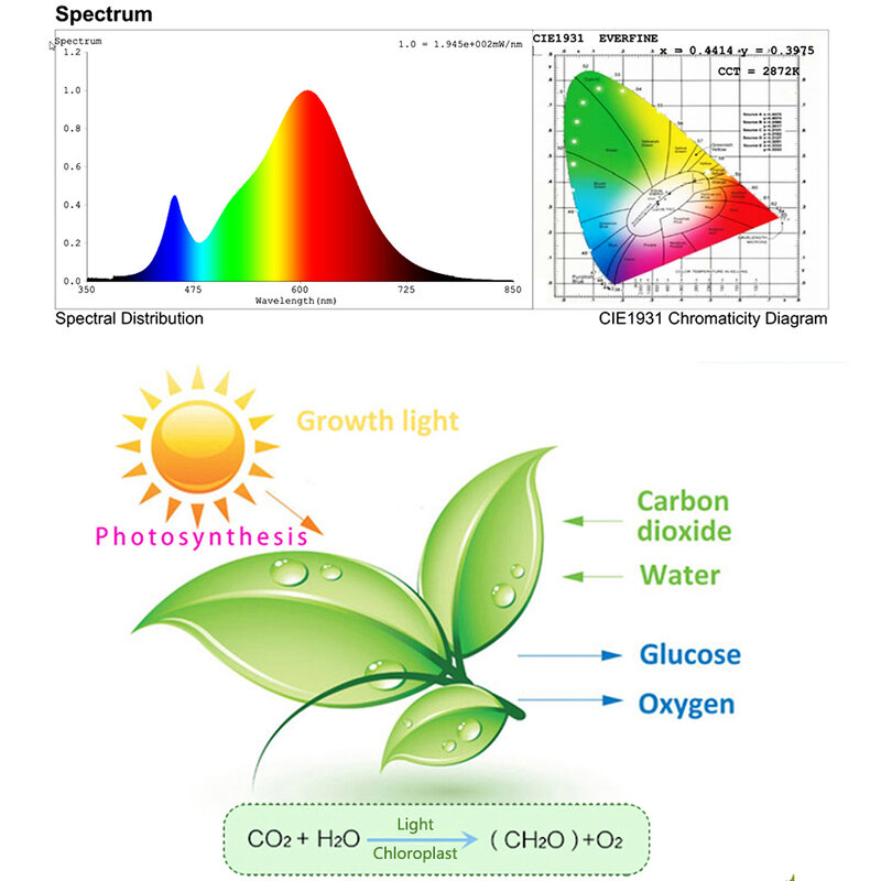 LED植物成長ランプ,1000W,AC85-265V 75W,フルスペクトル,屋内植物,温室,水耕栽培用