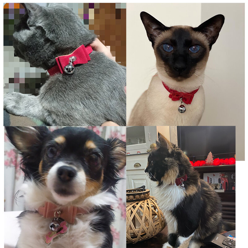 ربطة عنق صغيرة طوق للكلب والقط منتجات لينة VelvetPet طوق بكلاب الحيوانات الأليفة المورد مع جرس لجرو