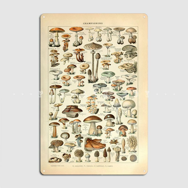 Adolphe Millot Mushrooms Poster Metal Plaque Retro Wall Decor Pub Garage Wall Cave Tin Sign Posters